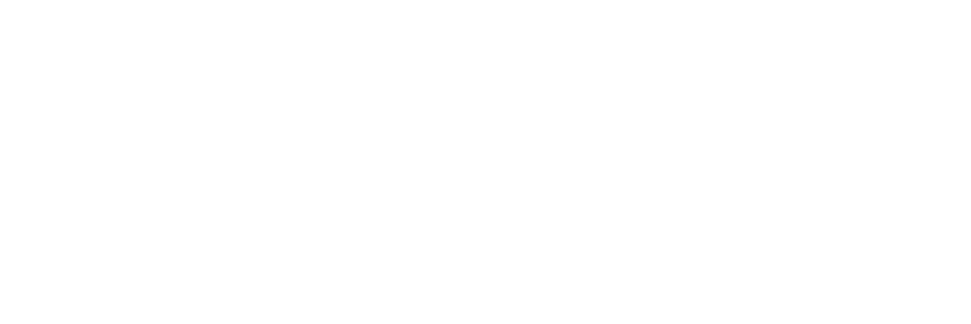 Meta Navigator Logo White